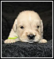 processed/d01f0b58-b642-4781-b279-fb329ef0f5f3/listing/96f743a0-997b-4091-93f4-32ed0b898d14/146b1dac-d4c5-42b5-ac05-371aaf5def2d