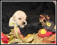 processed/d01f0b58-b642-4781-b279-fb329ef0f5f3/listing/96f743a0-997b-4091-93f4-32ed0b898d14/1780aa9b-fb7c-4258-925d-ac9a848222a6