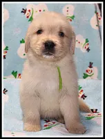 processed/d01f0b58-b642-4781-b279-fb329ef0f5f3/listing/96f743a0-997b-4091-93f4-32ed0b898d14/84558650-5bb2-483f-bdeb-a9c003a9de56