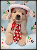 processed/d01f0b58-b642-4781-b279-fb329ef0f5f3/listing/96f743a0-997b-4091-93f4-32ed0b898d14/cf0745cd-381e-41cd-907d-53bbef6c076f