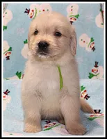 processed/d01f0b58-b642-4781-b279-fb329ef0f5f3/listing/96f743a0-997b-4091-93f4-32ed0b898d14/d66970d3-f127-44e0-8525-396ab20beecc