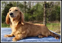 processed/d01f0b58-b642-4781-b279-fb329ef0f5f3/listing/f8565af8-9428-452b-9f51-fbf28185bf93/1088a43a-b337-4ed5-9873-098c76cde4a5