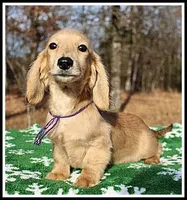 processed/d01f0b58-b642-4781-b279-fb329ef0f5f3/listing/f8565af8-9428-452b-9f51-fbf28185bf93/16dc0908-b2b4-43fd-a8bb-10938f281519