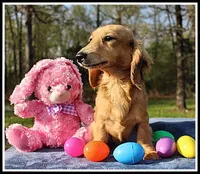 processed/d01f0b58-b642-4781-b279-fb329ef0f5f3/listing/f8565af8-9428-452b-9f51-fbf28185bf93/86b6332b-d84f-4635-b826-4d0db9b5fdf5