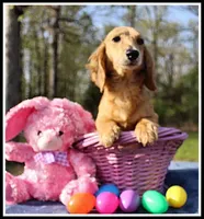 processed/d01f0b58-b642-4781-b279-fb329ef0f5f3/listing/f8565af8-9428-452b-9f51-fbf28185bf93/ead47cb1-f9ed-42d1-8741-ed057b99cc9a