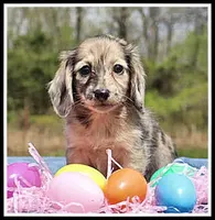 processed/d01f0b58-b642-4781-b279-fb329ef0f5f3/listing/faf77cf8-e7bc-40c0-9127-1f99bbe5fbab/1906fda2-c853-4790-b730-00d72020baf3