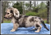 processed/d01f0b58-b642-4781-b279-fb329ef0f5f3/listing/faf77cf8-e7bc-40c0-9127-1f99bbe5fbab/87209378-216f-4cdd-ac07-c4ae281006e4