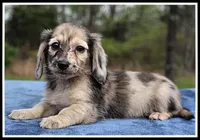 processed/d01f0b58-b642-4781-b279-fb329ef0f5f3/listing/faf77cf8-e7bc-40c0-9127-1f99bbe5fbab/950b245e-e6f4-40e0-a5ee-a8d8e3e3f97d