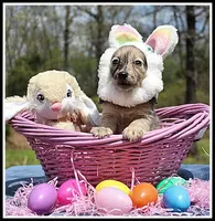 processed/d01f0b58-b642-4781-b279-fb329ef0f5f3/listing/faf77cf8-e7bc-40c0-9127-1f99bbe5fbab/c39c0732-930d-4c59-a43b-36dd05f251f3