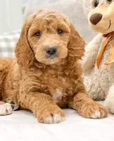 processed/d02192ea-5cfd-4f21-ac0c-c6aea40ce305/facility/19e151f0-437a-4a10-8ed9-325c7170ed44