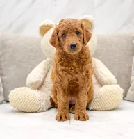 processed/d02192ea-5cfd-4f21-ac0c-c6aea40ce305/facility/61fa799e-a164-4f44-90f2-fd8fe28f2242