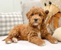 processed/d02192ea-5cfd-4f21-ac0c-c6aea40ce305/facility/997f6f75-6007-4d96-ac2a-a79049447c27