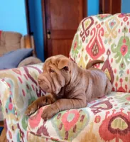 processed/d0288b7d-72f9-4365-945d-a66465808228/listing/6bbcd4dd-c05e-4dab-ab4e-9338760ecb89/05e0c9f7-633a-460d-9394-bf787d9fef4b