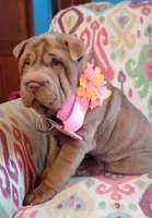 processed/d0288b7d-72f9-4365-945d-a66465808228/listing/6bbcd4dd-c05e-4dab-ab4e-9338760ecb89/3c4a7ccb-b5ac-4244-8379-5cb60714cc1e