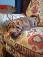 processed/d0288b7d-72f9-4365-945d-a66465808228/listing/6bbcd4dd-c05e-4dab-ab4e-9338760ecb89/4e7ae21b-fe07-4a64-bdf6-361497b0aa8d