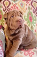 processed/d0288b7d-72f9-4365-945d-a66465808228/listing/6bbcd4dd-c05e-4dab-ab4e-9338760ecb89/55636e31-cfa4-441b-b826-68d3f616dfdd