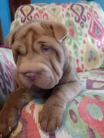 processed/d0288b7d-72f9-4365-945d-a66465808228/listing/6bbcd4dd-c05e-4dab-ab4e-9338760ecb89/beb12d99-baf8-4a7e-b32e-28e9e0f11ee5