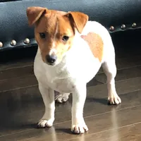 processed/d02e72ea-8f5d-4ffc-a96a-22ba8ab5dcf1/facility/0262c567-5c05-4681-82e3-8143232047f8