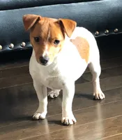 processed/d02e72ea-8f5d-4ffc-a96a-22ba8ab5dcf1/facility/0262c567-5c05-4681-82e3-8143232047f8