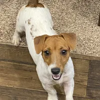 processed/d02e72ea-8f5d-4ffc-a96a-22ba8ab5dcf1/facility/0917b9f0-1ffd-4dcb-9027-216b3f3054b3