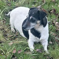 processed/d02e72ea-8f5d-4ffc-a96a-22ba8ab5dcf1/facility/41b95056-b43d-40c6-bb27-76b920552ae5