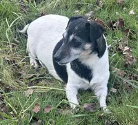 processed/d02e72ea-8f5d-4ffc-a96a-22ba8ab5dcf1/facility/41b95056-b43d-40c6-bb27-76b920552ae5