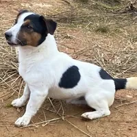 processed/d02e72ea-8f5d-4ffc-a96a-22ba8ab5dcf1/facility/63755537-9478-4323-9136-83f30e15979e