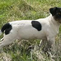 processed/d02e72ea-8f5d-4ffc-a96a-22ba8ab5dcf1/facility/6c6646a0-6f17-48dd-bbe2-776487bd49f7