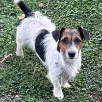 processed/d02e72ea-8f5d-4ffc-a96a-22ba8ab5dcf1/facility/909b4d19-56ad-4328-a2bc-d66528e5ccf2