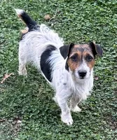 processed/d02e72ea-8f5d-4ffc-a96a-22ba8ab5dcf1/facility/909b4d19-56ad-4328-a2bc-d66528e5ccf2