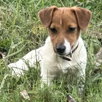 processed/d02e72ea-8f5d-4ffc-a96a-22ba8ab5dcf1/facility/b1161dbb-87c6-4733-bad1-d76e6fec95c8