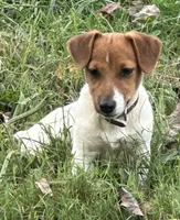 processed/d02e72ea-8f5d-4ffc-a96a-22ba8ab5dcf1/facility/b1161dbb-87c6-4733-bad1-d76e6fec95c8