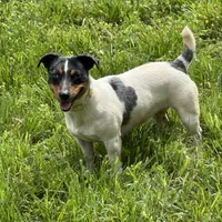 processed/d02e72ea-8f5d-4ffc-a96a-22ba8ab5dcf1/facility/d777669d-5cc6-4aff-8556-28e98c7b77ba