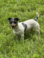 processed/d02e72ea-8f5d-4ffc-a96a-22ba8ab5dcf1/facility/d777669d-5cc6-4aff-8556-28e98c7b77ba