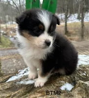 processed/d02e72ea-8f5d-4ffc-a96a-22ba8ab5dcf1/listing/265a0782-7848-4eab-96dc-6f1c73794954/00f704ef-6f69-4cca-bfed-827f1ae572eb