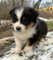 processed/d02e72ea-8f5d-4ffc-a96a-22ba8ab5dcf1/listing/265a0782-7848-4eab-96dc-6f1c73794954/37b37177-ef0f-4e61-b9ad-ed9e9e437afc