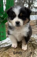 processed/d02e72ea-8f5d-4ffc-a96a-22ba8ab5dcf1/listing/265a0782-7848-4eab-96dc-6f1c73794954/57b2a151-af86-4830-8d54-a516b450789e