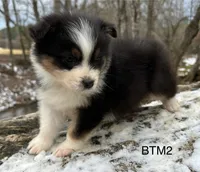 processed/d02e72ea-8f5d-4ffc-a96a-22ba8ab5dcf1/listing/265a0782-7848-4eab-96dc-6f1c73794954/58cc3ae6-a62c-47ad-8904-45aea69a759f