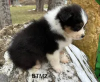 processed/d02e72ea-8f5d-4ffc-a96a-22ba8ab5dcf1/listing/265a0782-7848-4eab-96dc-6f1c73794954/7b8dfe22-abbd-4fcb-a08a-4bacedadbe04