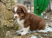 processed/d02e72ea-8f5d-4ffc-a96a-22ba8ab5dcf1/listing/d7cfc8b9-b753-4163-9977-27f810f8ffe1/4d19683c-9b73-46e4-a10b-93942f0fd592