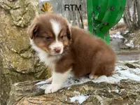 processed/d02e72ea-8f5d-4ffc-a96a-22ba8ab5dcf1/listing/d7cfc8b9-b753-4163-9977-27f810f8ffe1/8538c34e-b548-4dc6-b399-3856787b2f0d