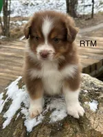 processed/d02e72ea-8f5d-4ffc-a96a-22ba8ab5dcf1/listing/d7cfc8b9-b753-4163-9977-27f810f8ffe1/a28dcd4d-7f10-4337-8583-88e5833aead1