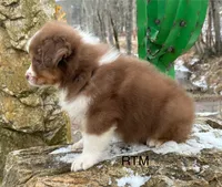 processed/d02e72ea-8f5d-4ffc-a96a-22ba8ab5dcf1/listing/d7cfc8b9-b753-4163-9977-27f810f8ffe1/ae04a213-6790-4df5-b7b5-dd49d9077492