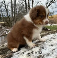 processed/d02e72ea-8f5d-4ffc-a96a-22ba8ab5dcf1/listing/d7cfc8b9-b753-4163-9977-27f810f8ffe1/b22b950e-bc97-4846-b75f-862c75729bb7