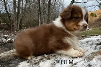 processed/d02e72ea-8f5d-4ffc-a96a-22ba8ab5dcf1/listing/d7cfc8b9-b753-4163-9977-27f810f8ffe1/d26e9879-1f5f-47ac-807b-6afa1d7bf380