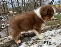 processed/d02e72ea-8f5d-4ffc-a96a-22ba8ab5dcf1/listing/d7cfc8b9-b753-4163-9977-27f810f8ffe1/eaa9b40e-da5a-4f46-8866-2f5a5546e6b2