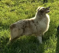 processed/d02e72ea-8f5d-4ffc-a96a-22ba8ab5dcf1/listing/d7cfc8b9-b753-4163-9977-27f810f8ffe1/fa36630d-2c10-4796-824c-e8e2b42dd658