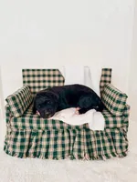 Opie, a male Labradoodle for sale in Montezuma, GA – Photo 6 of 6