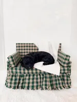 Andy, a male Labradoodle for sale in Montezuma, GA – Photo 5 of 5