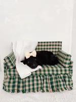 Hellen, a female Labradoodle for sale in Montezuma, GA – Photo 6 of 6